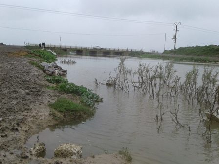 نبود پوشش گیاهی مناسب باعث سیل می شود