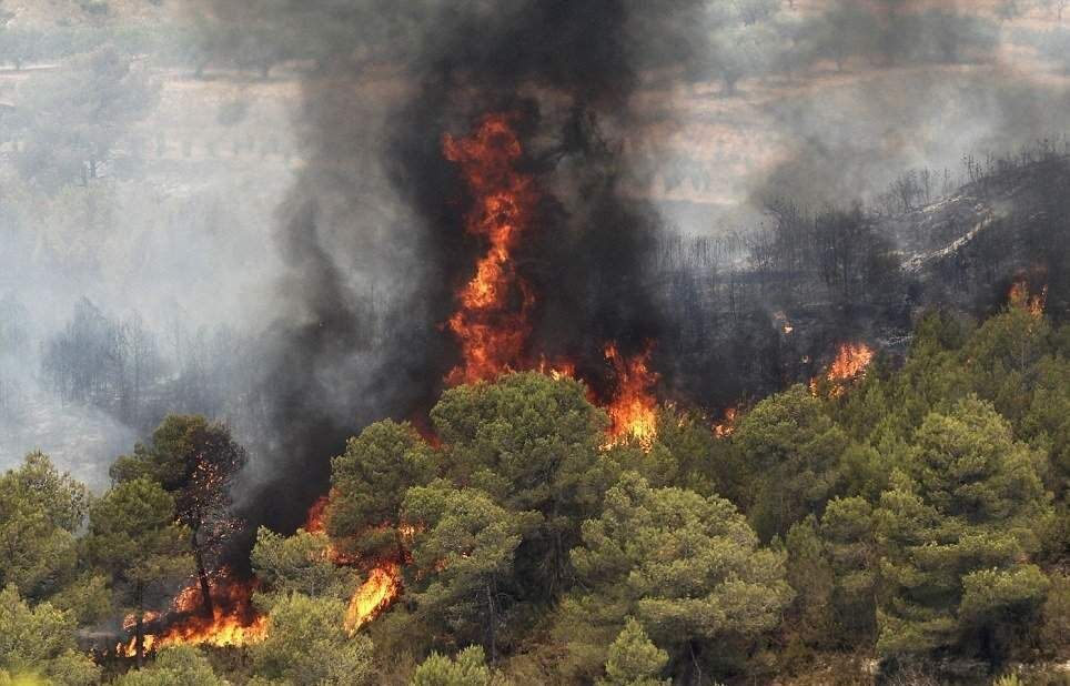 آتش زدن مزارع به منابع طبیعی آسیب وارد می کند