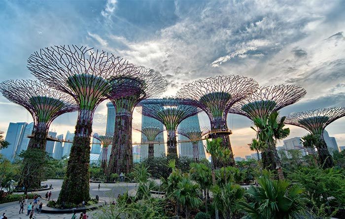 باغ سنگاپور