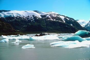 ذوب شدن یخچال‌ها و تاثیرات آن بر محیط زیست و زندگی انسان‌ها
