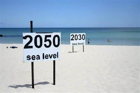 افزایش سطح دریا بیشتر از آنچه قبلا تصور می شد
