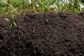 اهمیت حفظ سلامت خاک
