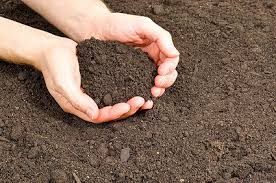 ۱۲ نوع خاک وجود دارد