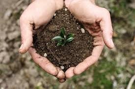 تصویب لایحه حفاظت از خاک