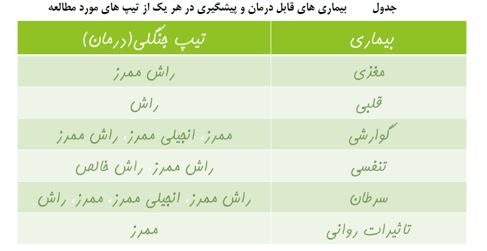 جنگل درمانی-سارا مشهدی