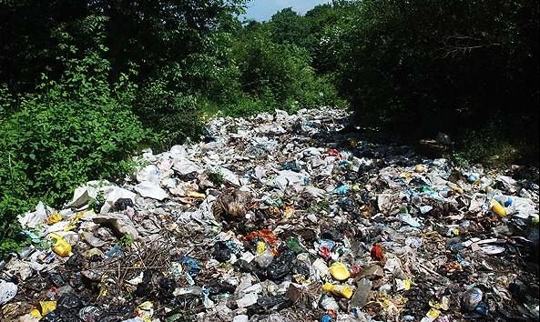 زباله زیست محیطی در جنگلهای شمال کشور