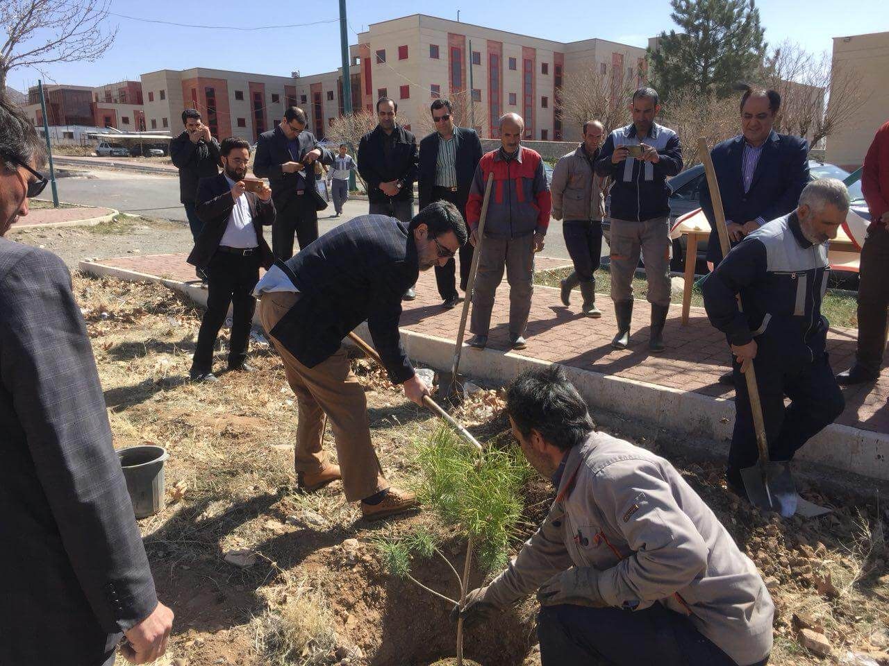 درختکاری زنجان