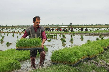 بحران آب در مازندران