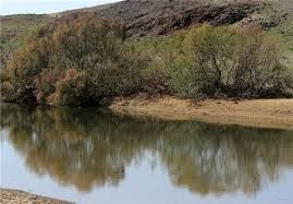 حق‌آبه برخی تالاب‌ها به دریاچه ارومیه داده می‌شود