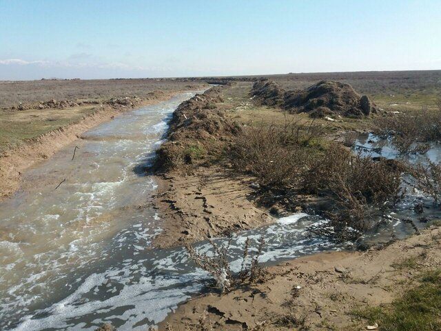 پای آلودگی صنعتی در تالاب صالحیه 